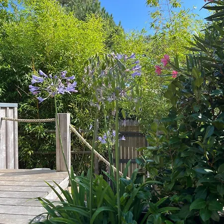 Villa Anantara I Piscine I Marche I Plages *